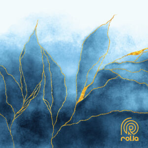 Dahabi Corals 2 Rolla Egypt