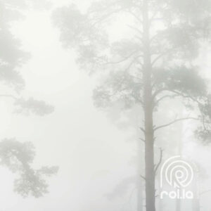 Alternative view of Mirage Customized Wallpaper