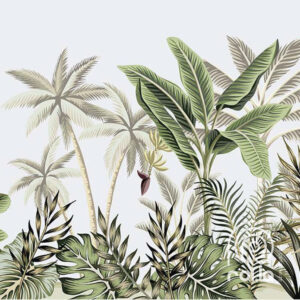 You Island 3 Rolla Egypt