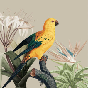 Alternative view of Bird's House Runner