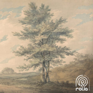 Alternative view of Echoes of Nature Customized Wallpaper